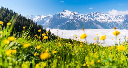 H+ Hotel & SPA Engelberg