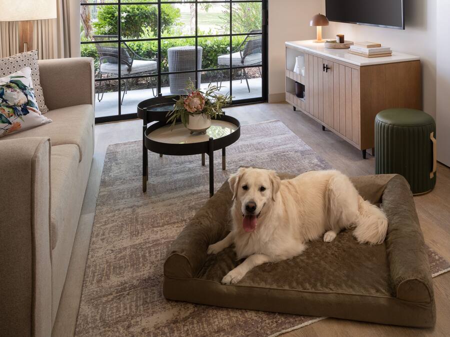Ein Wohnzimmer mit Hundebett, einer Couch, einem Couchtisch mit Vase und einem Fernseher an der Wand.