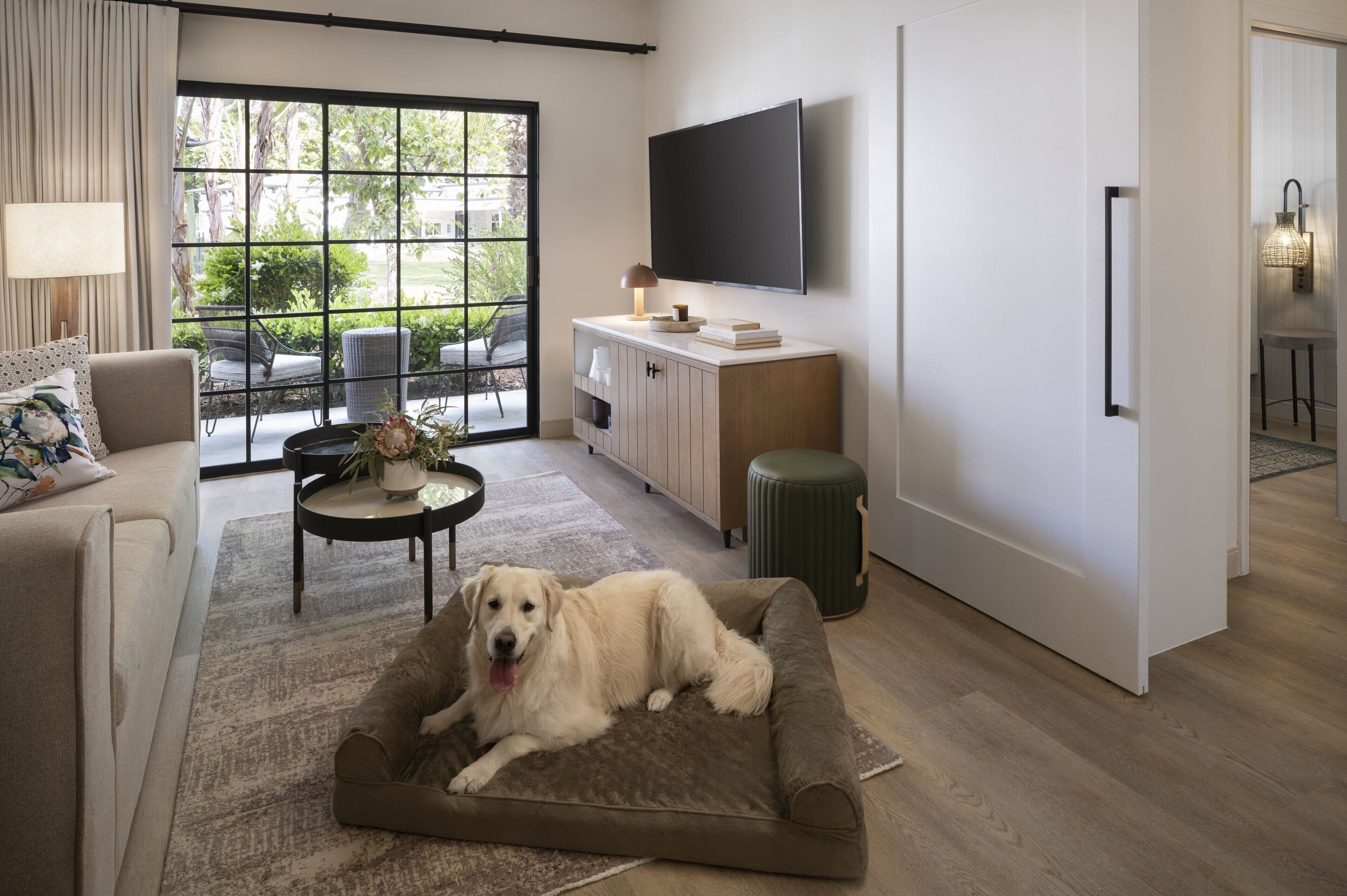 A modern living room with a dog bed, a sofa, a TV, and a view of the outdoors.