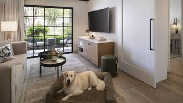 A modern living room with a dog bed, a sofa, a TV, and a view of the outdoors.