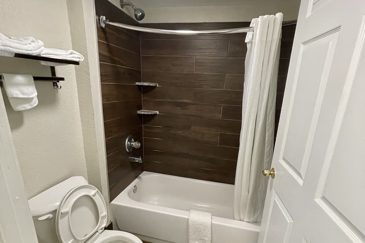Combined shower/tub, free toiletries, hair dryer, towels