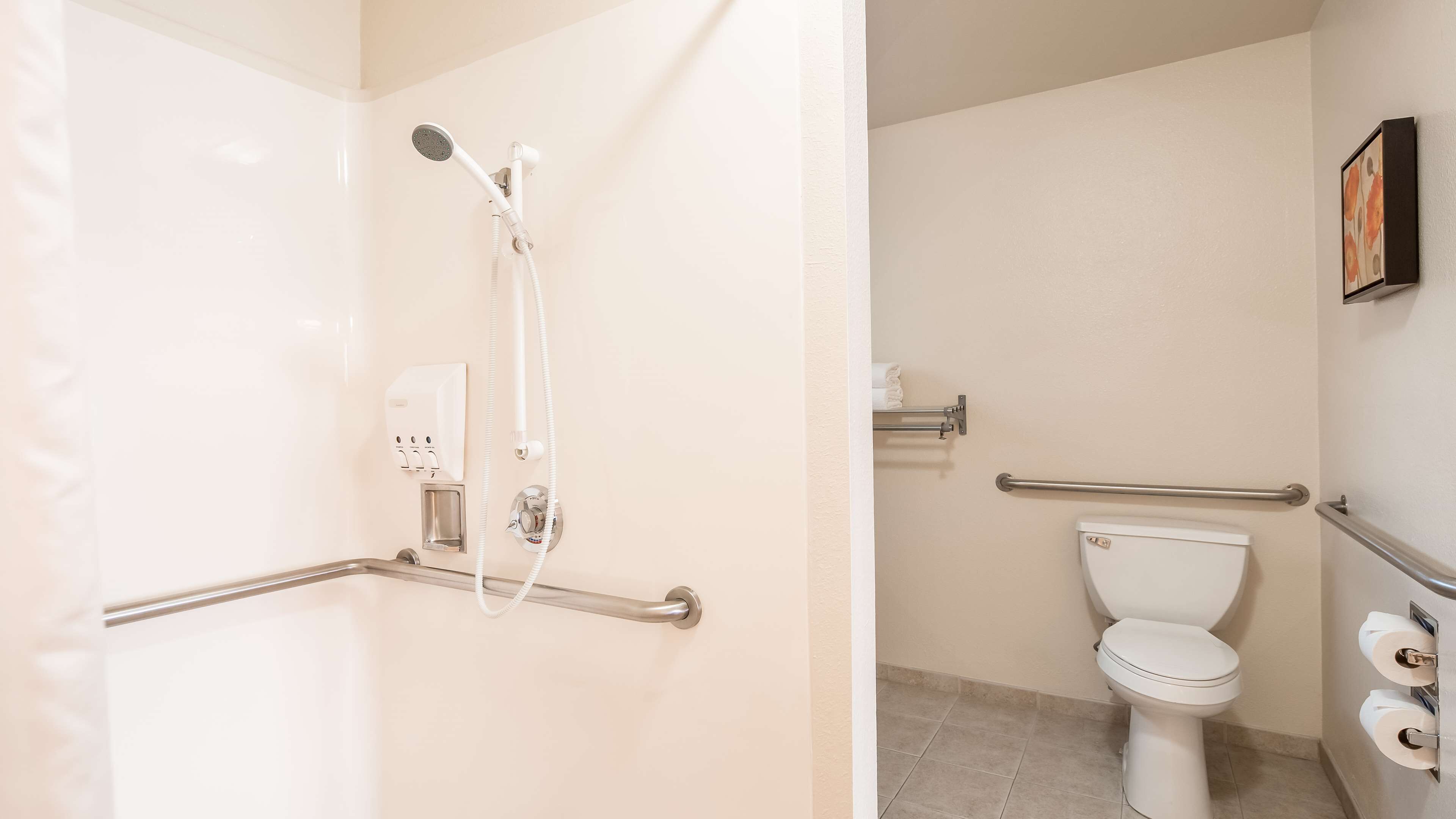 standard room, 1 queen bed, accessible, non smoking | bathroom | combined shower/bathtub, eco-friendly toiletries, hair dryer, towels