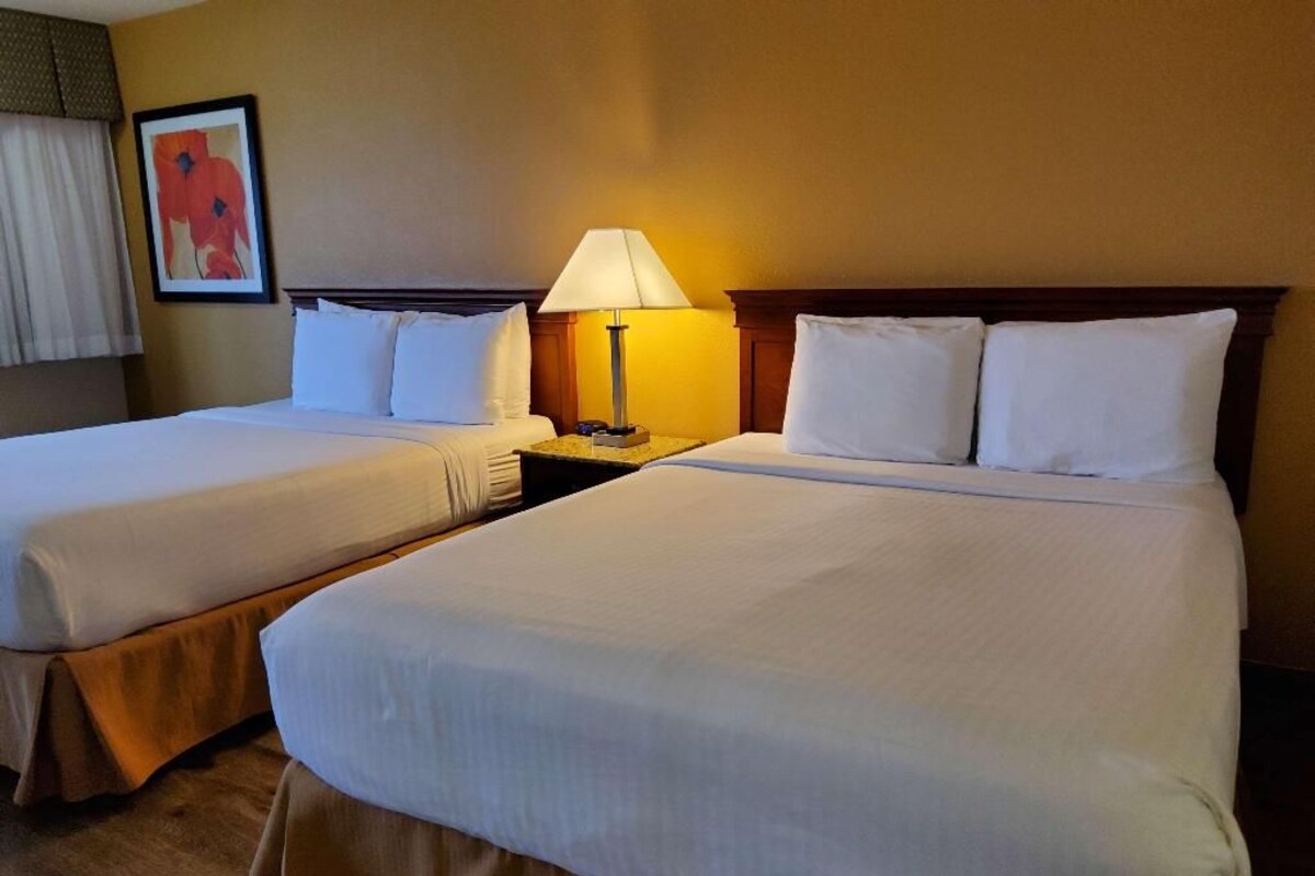 Premium bedding, desk, laptop workspace, blackout curtains