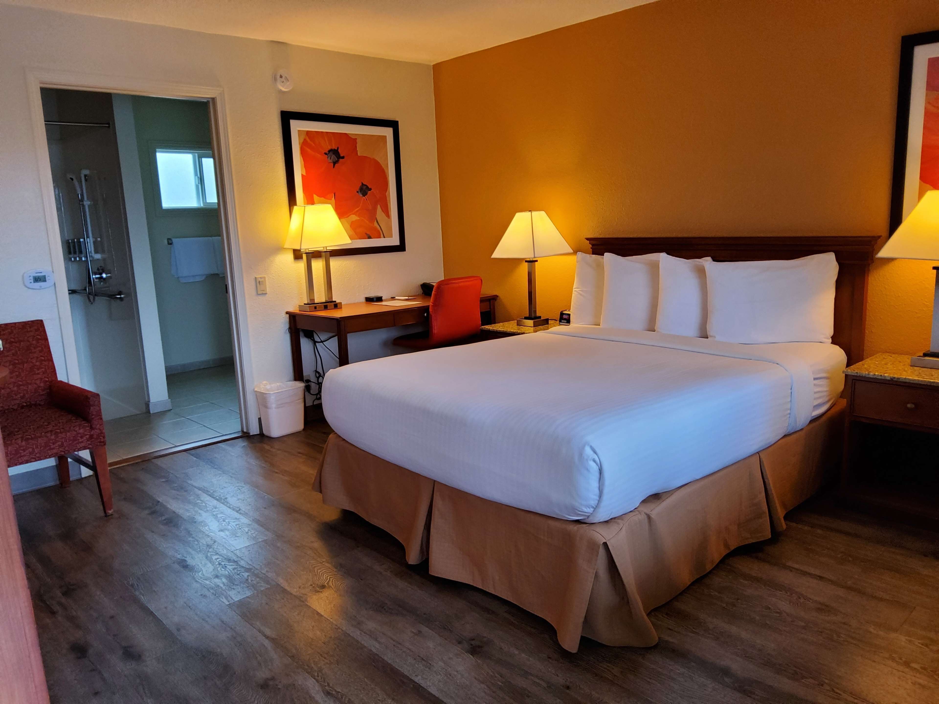 standard room, 1 queen bed, accessible, non smoking | premium bedding, desk, laptop workspace, blackout curtains