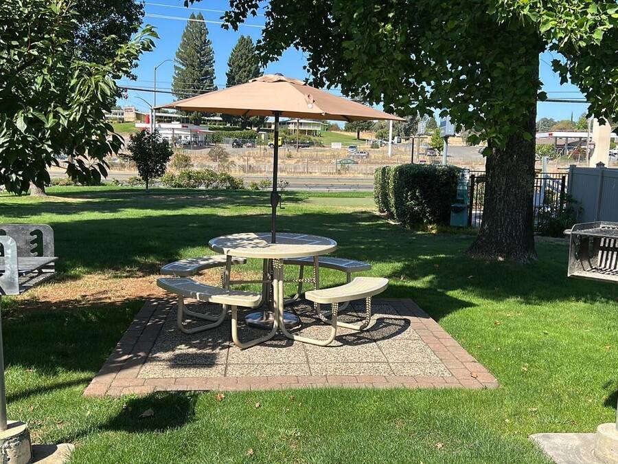 A picnic area with a table and benches, surrounded by trees and a grassy lawn.