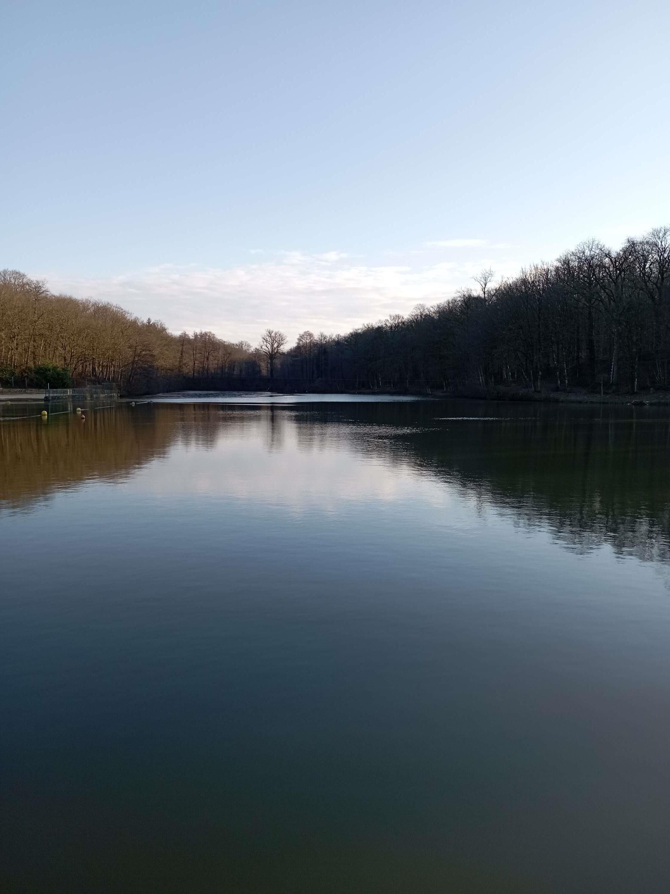 Un lago tranquilo con una orilla arbolada.