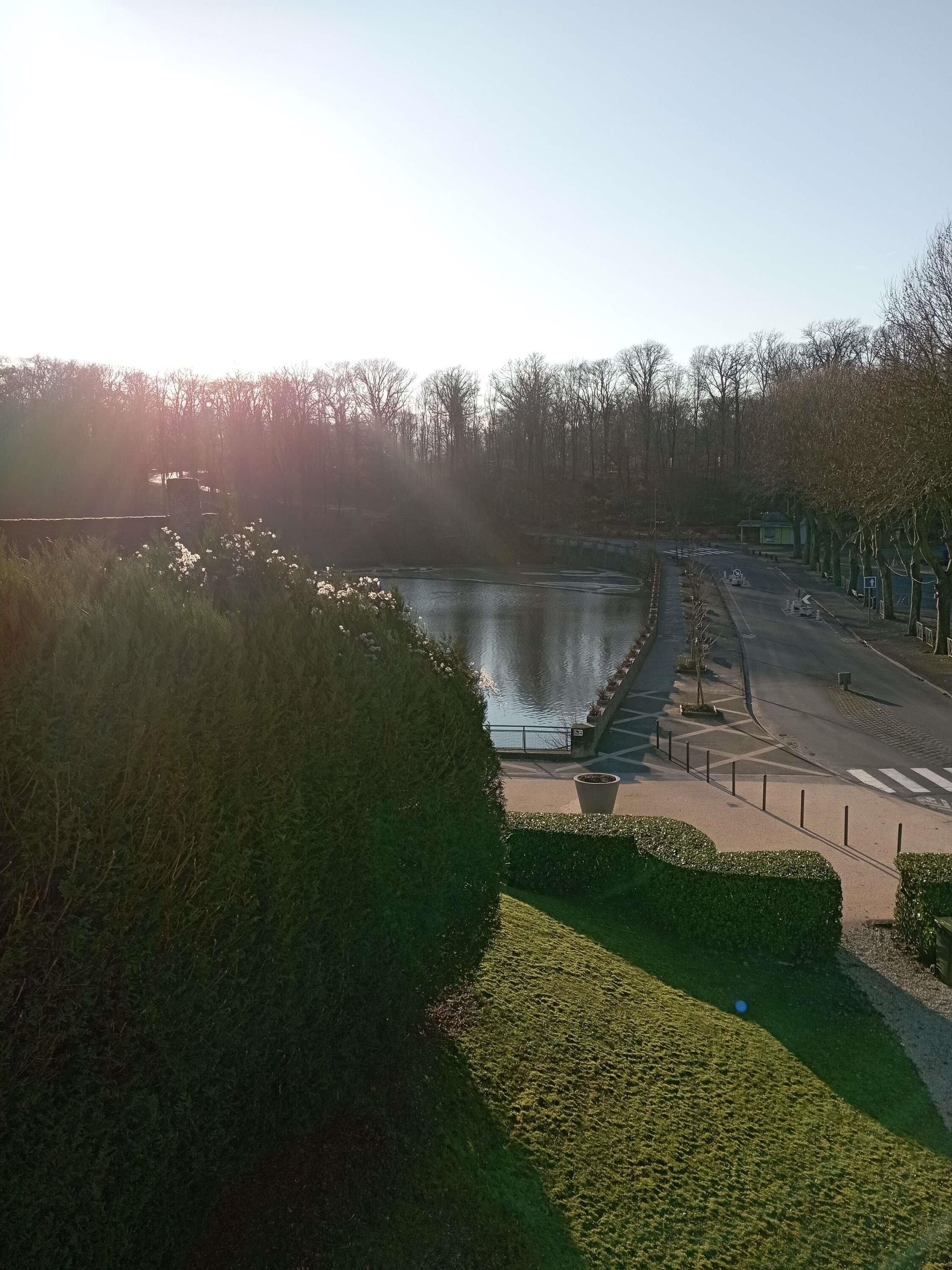 Ein Park mit Teich, Wegen und Bäumen.