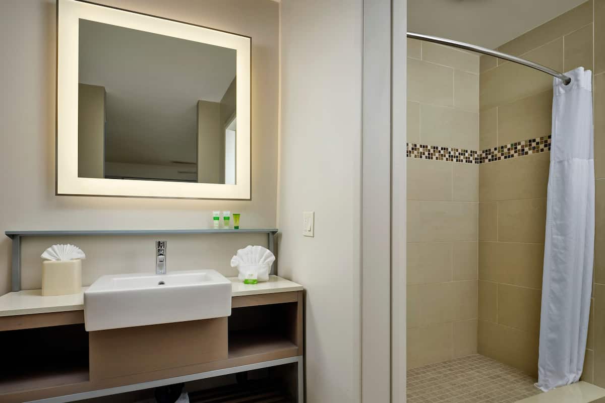 シャワー、環境にやさしいバスアメニティ、ヘアドライヤー、タオル