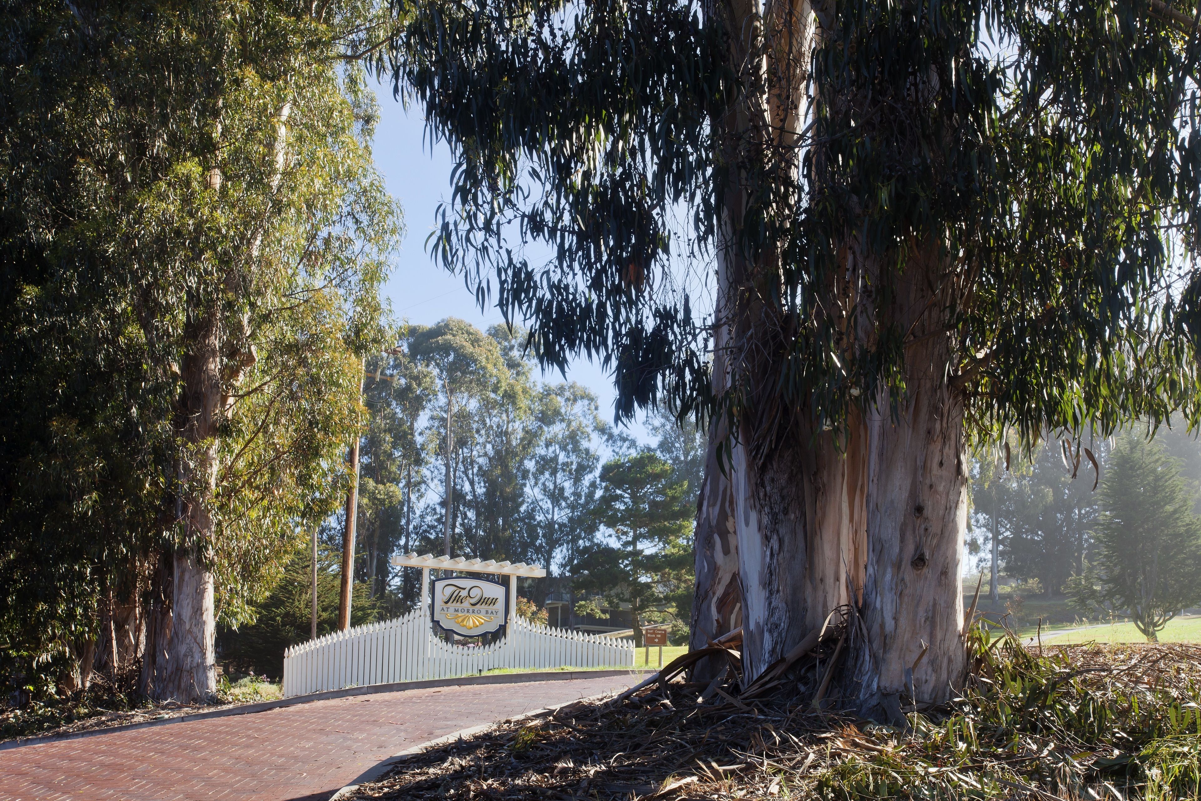 Un sendero conduce a un edificio con un letrero que dice 'The Inn at Moree'.