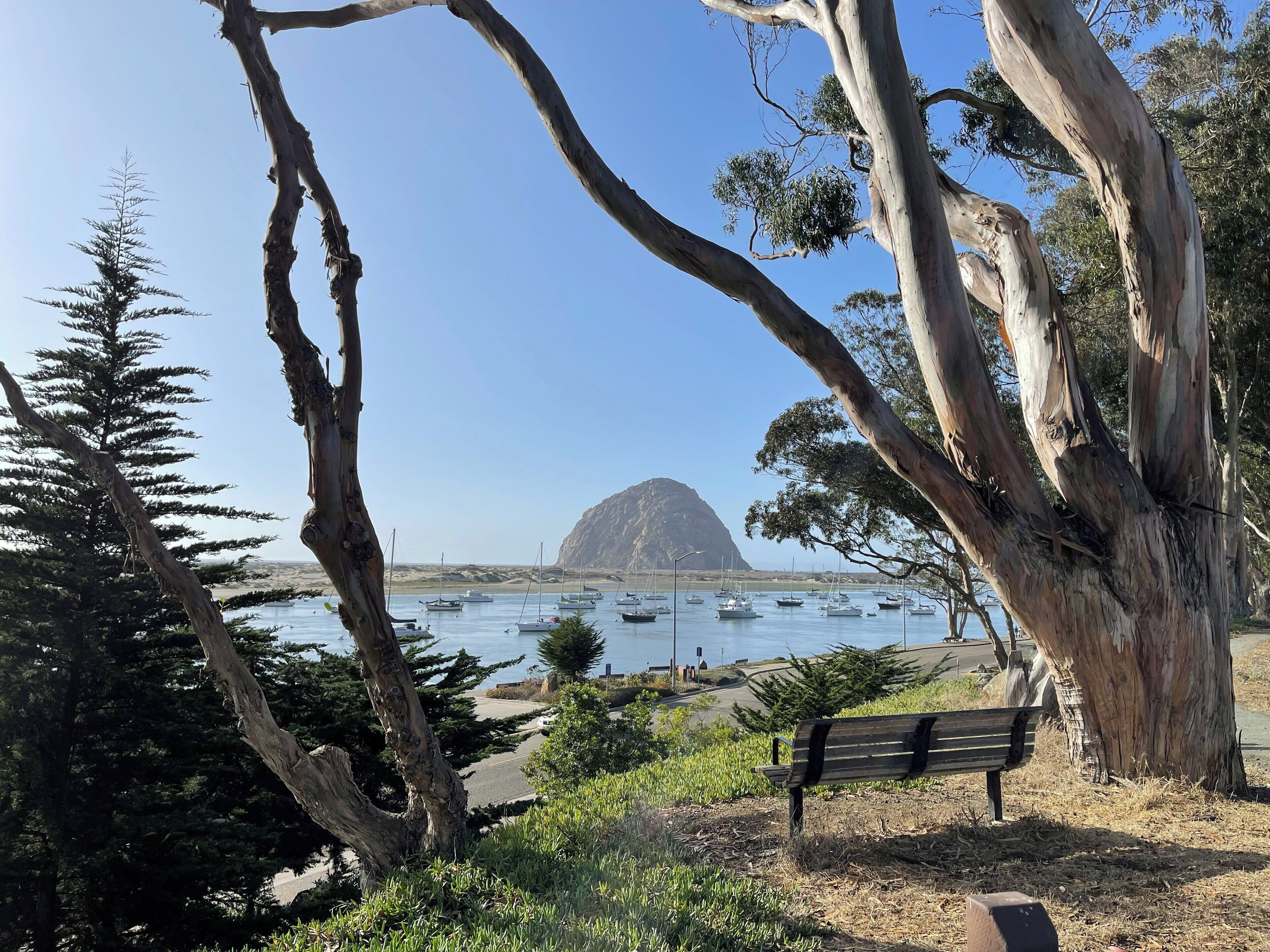 A coastal landscape with a rocky outcrop, a bench, and boats on the water.