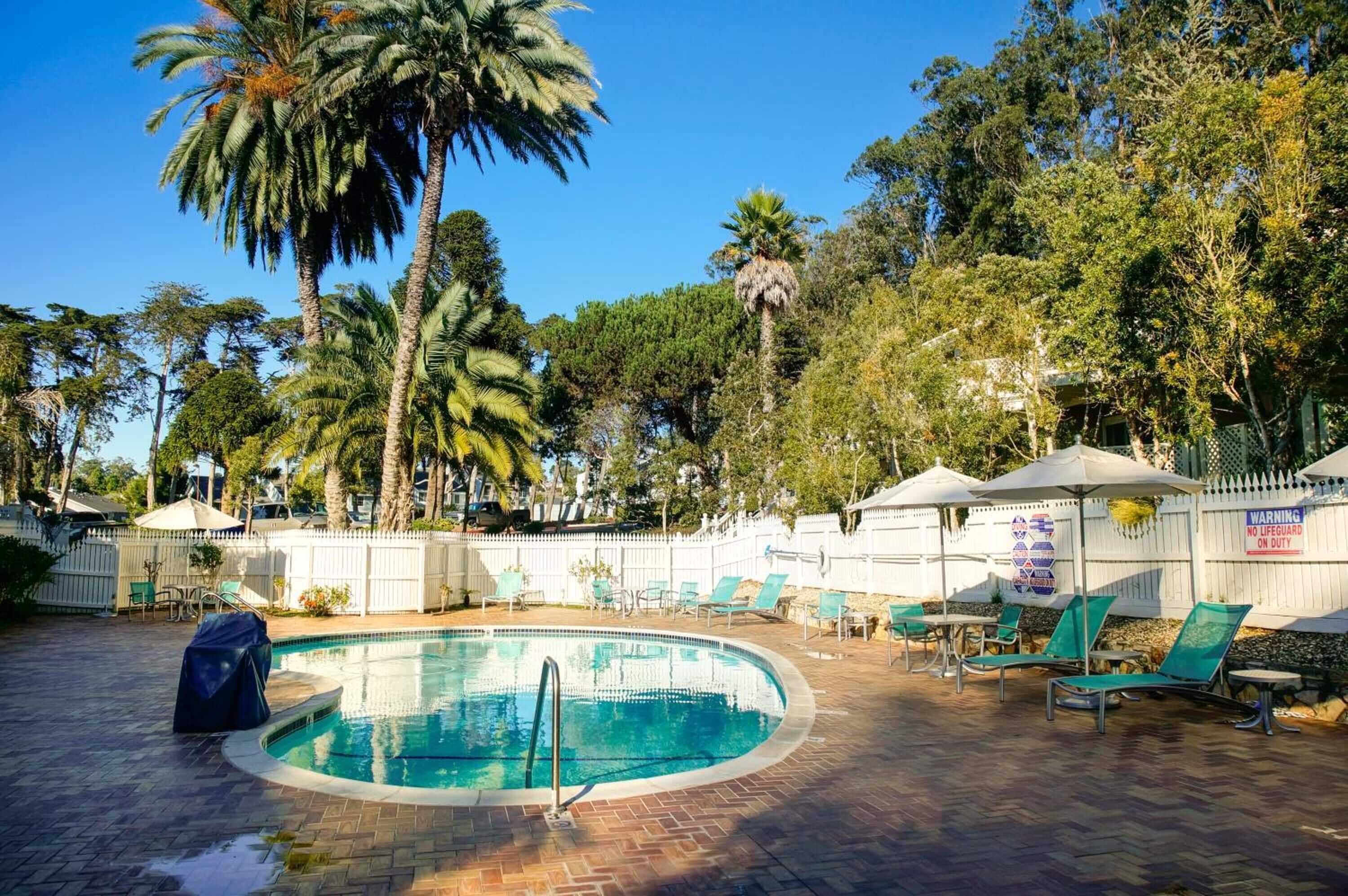 A swimming pool with lounge chairs and umbrellas, surrounded by palm trees and a white fence.