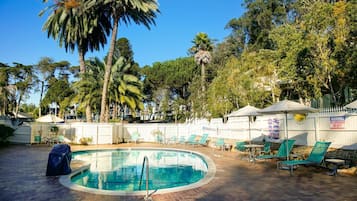 A swimming pool with lounge chairs and umbrellas, surrounded by palm trees and a white fence.
