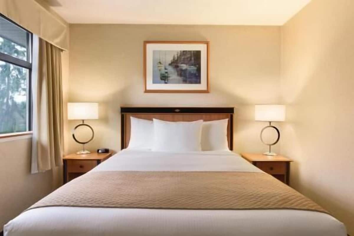 Desk, blackout drapes, iron/ironing board, free cribs/infant beds