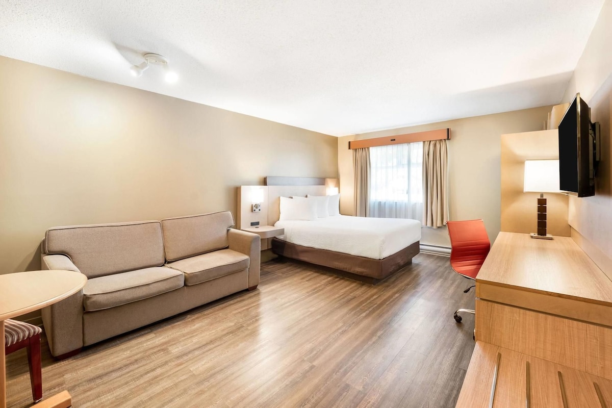 A hotel room with a bed, a sofa, a desk, and a chair.