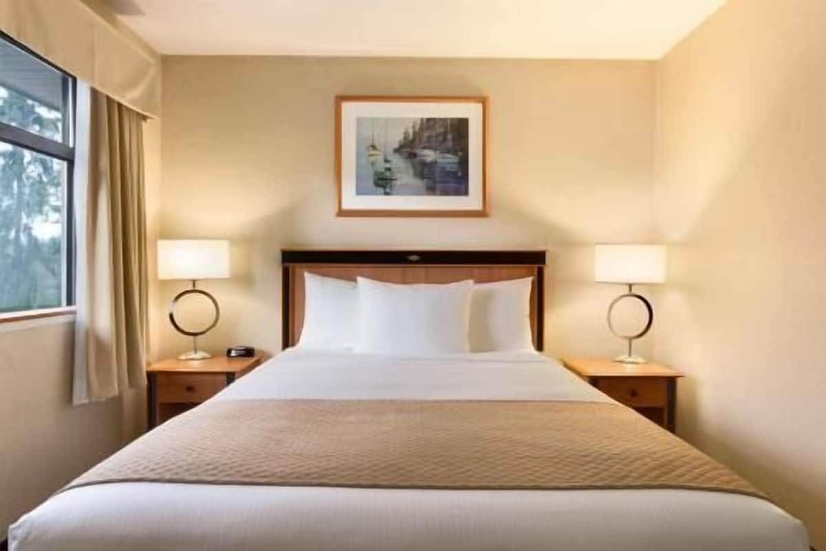 Desk, blackout drapes, iron/ironing board, free cribs/infant beds