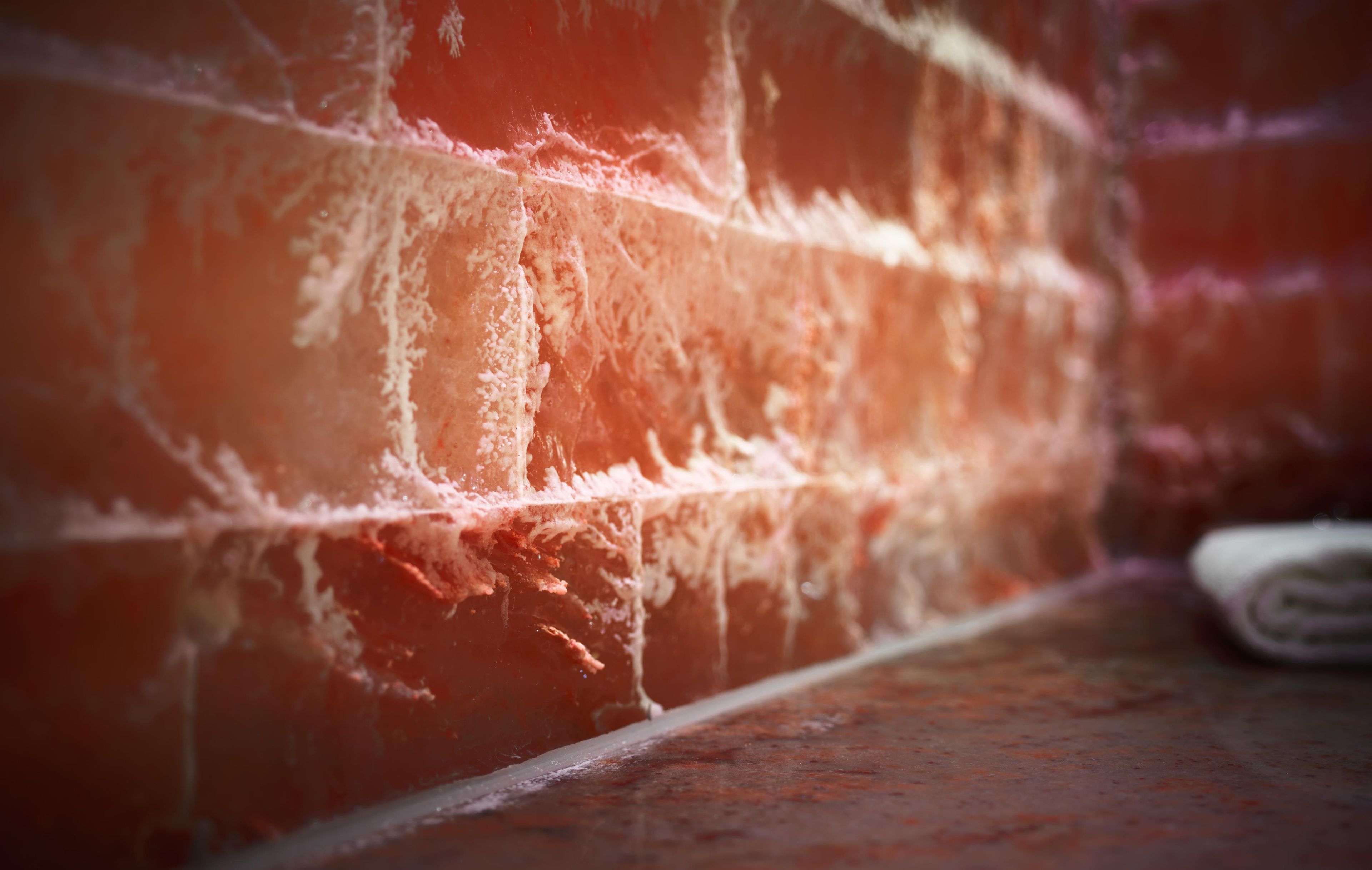 A close-up of a brick wall with visible wear and tear, including cracks and peeling paint.