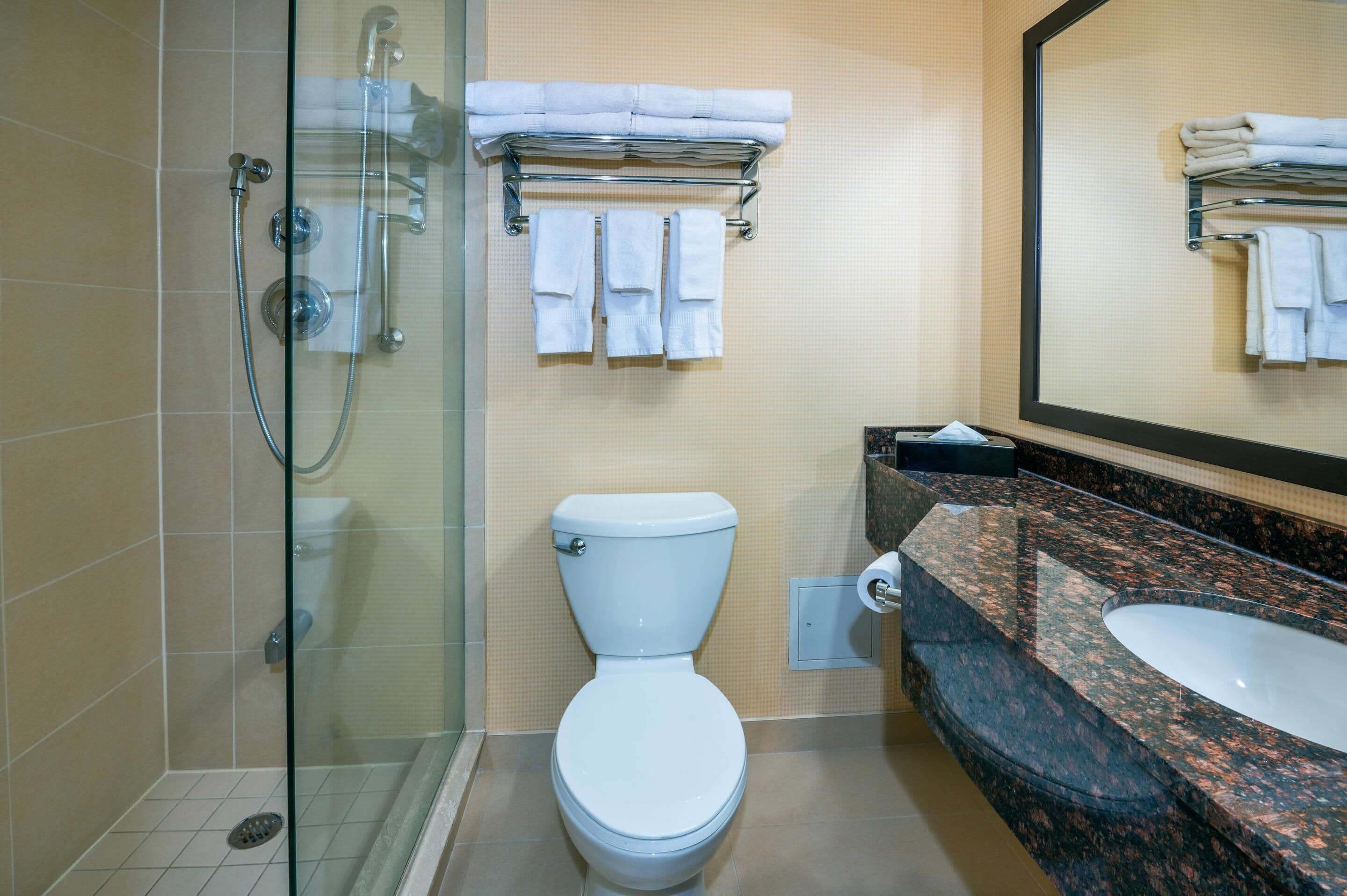 A bathroom with a glass-enclosed shower, a white toilet, and a granite countertop sink.