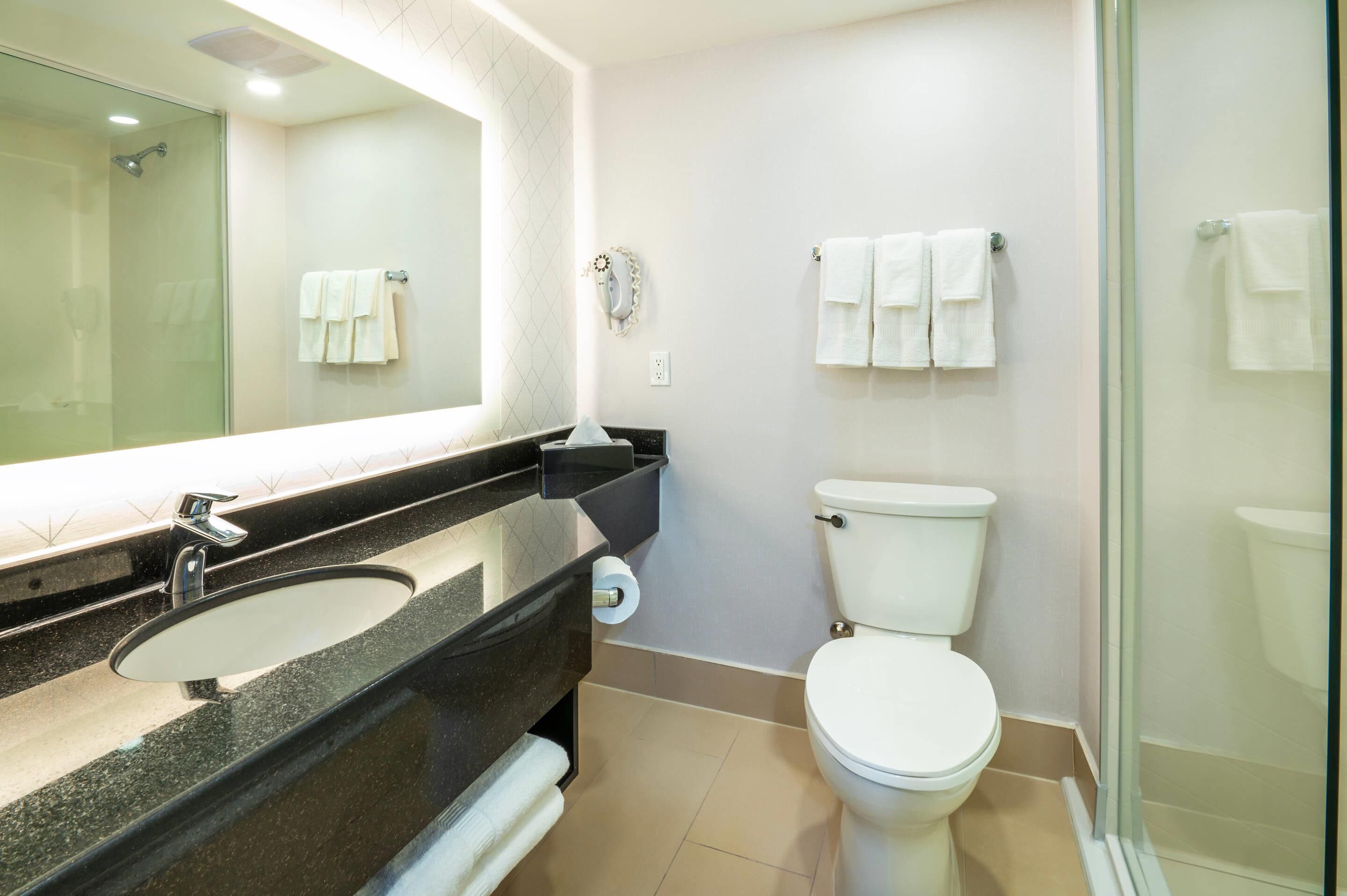 Photo - Comfort Inn & Conference Centre Toronto Airport