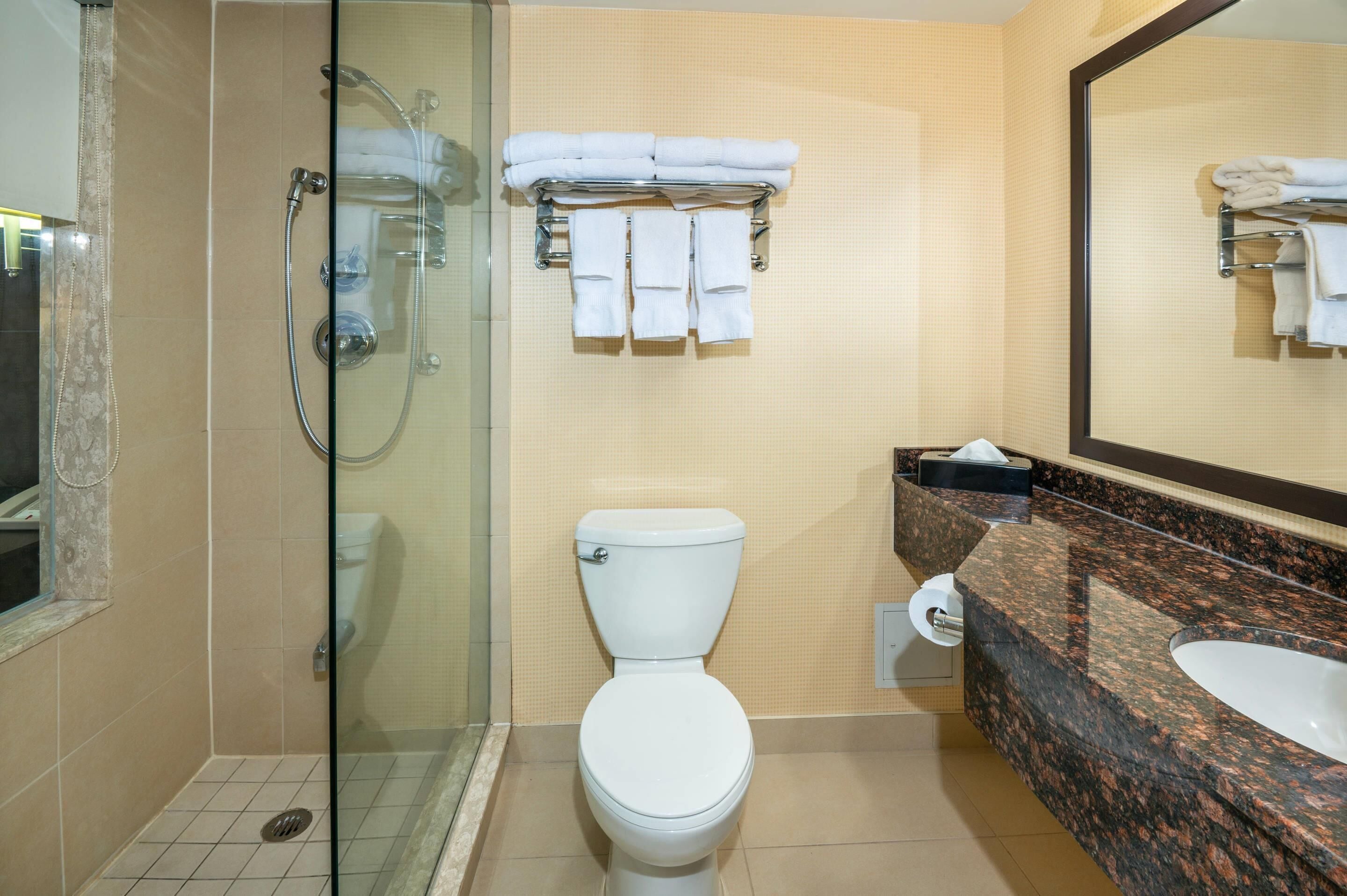 Photo - Comfort Inn & Conference Centre Toronto Airport