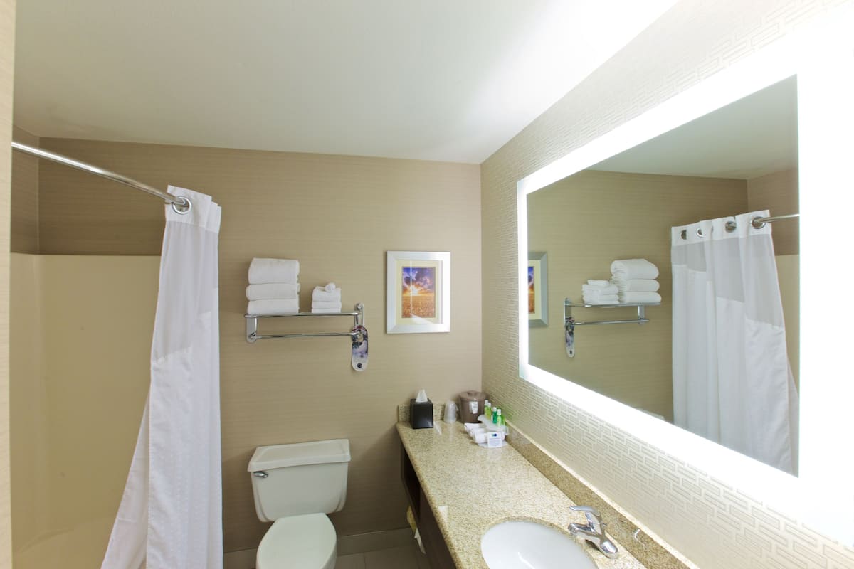 Combined shower/tub, free toiletries, hair dryer, towels