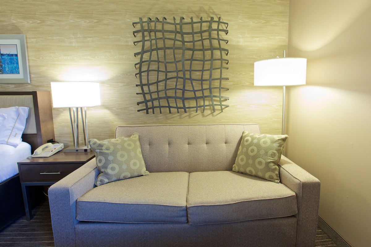 standard room, 1 king bed with sofa bed | 1 bedroom, in-room safe, desk, iron/ironing board