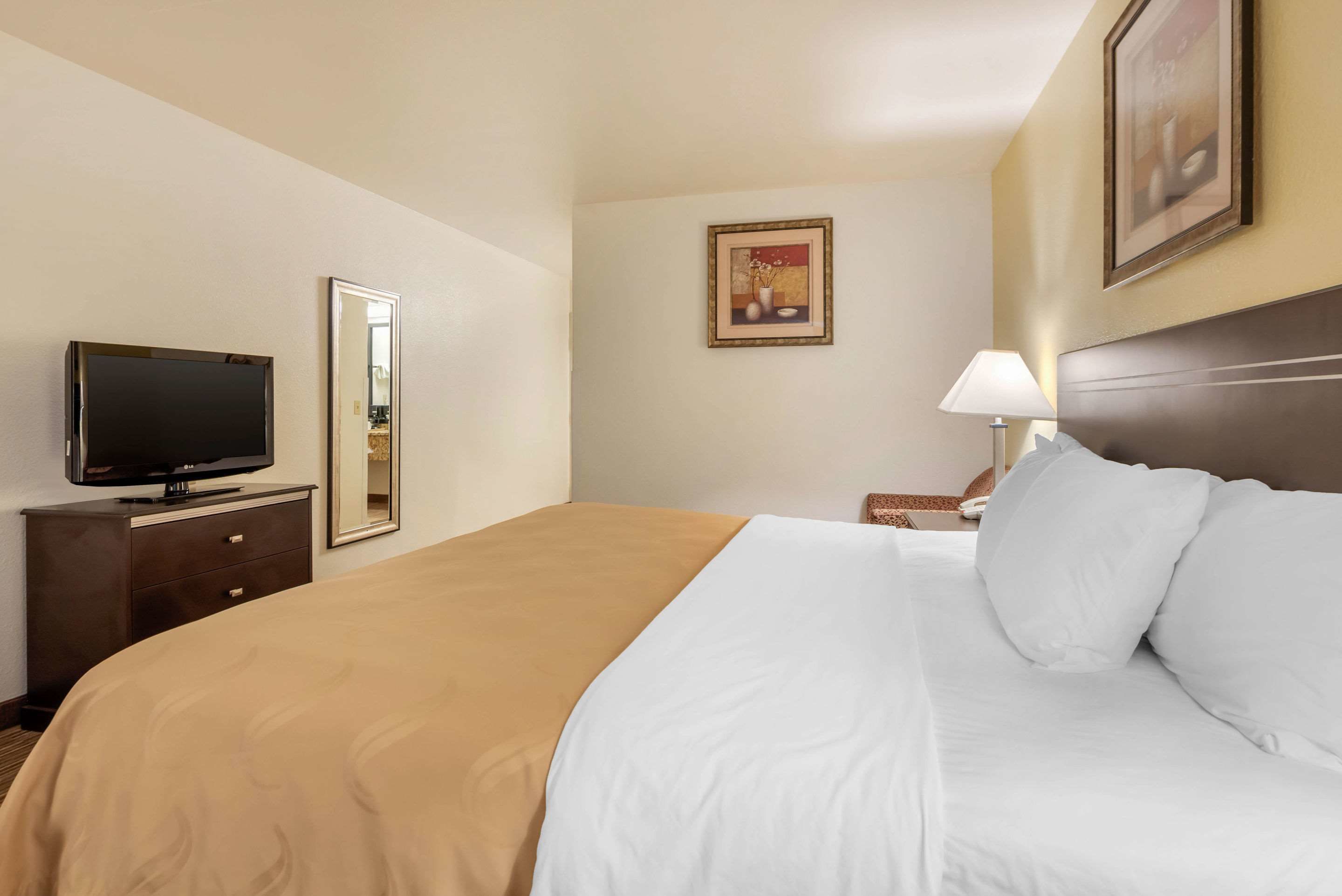 A hotel room with a large bed, a television on a dresser, a nightstand with a lamp, and a framed picture on the wall.