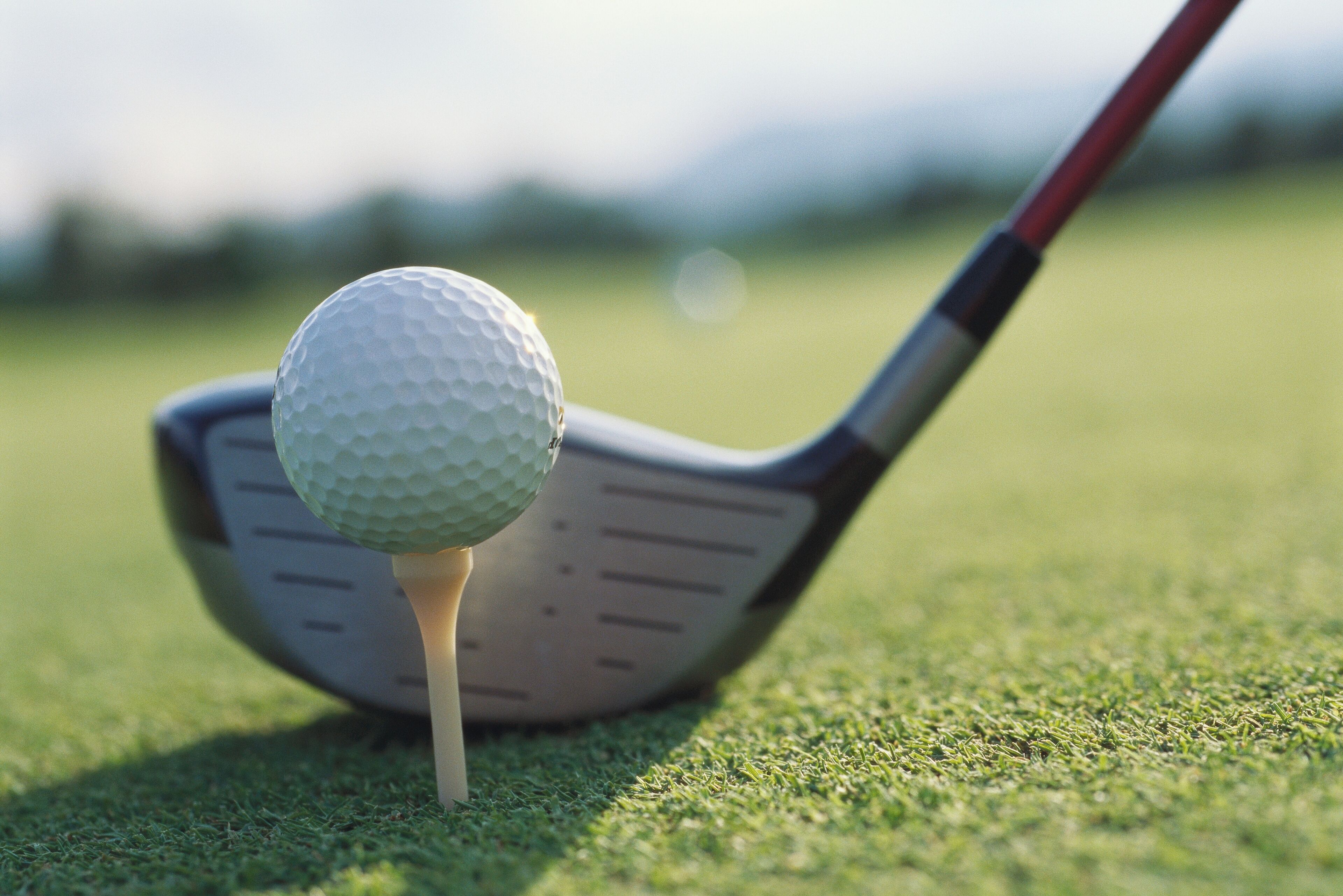 A golf ball on a tee on a green.