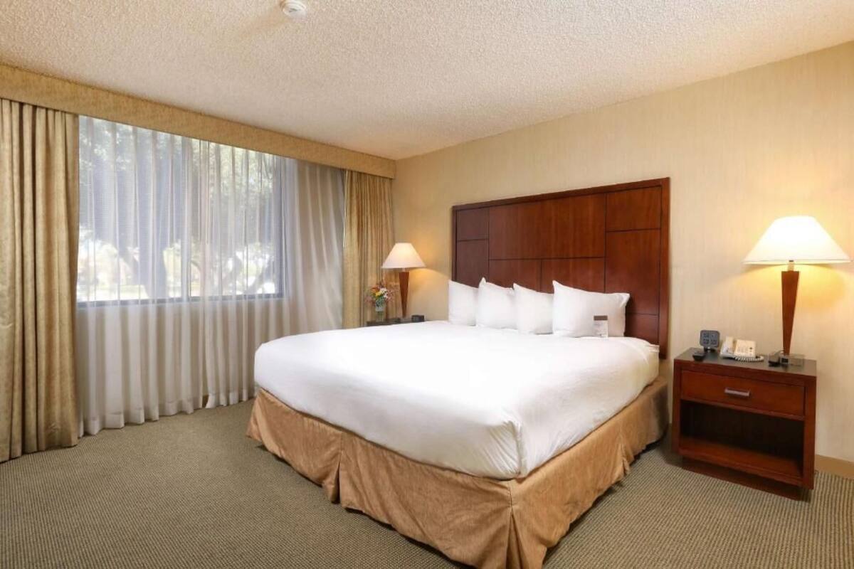 Een hotelkamer met een groot bed, twee bedlampen, een houten hoofdeinde en een raam met gordijnen.