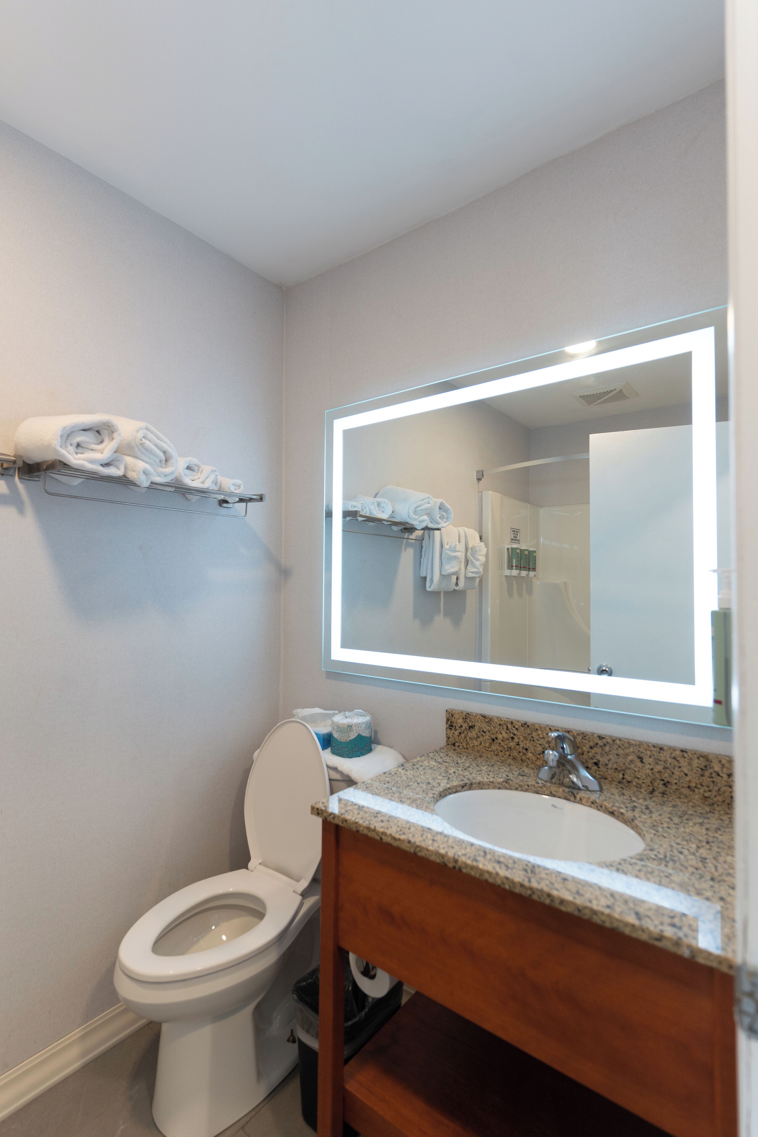 A bathroom with a white toilet, a sink with a granite countertop, and a mirror with a lighted frame.