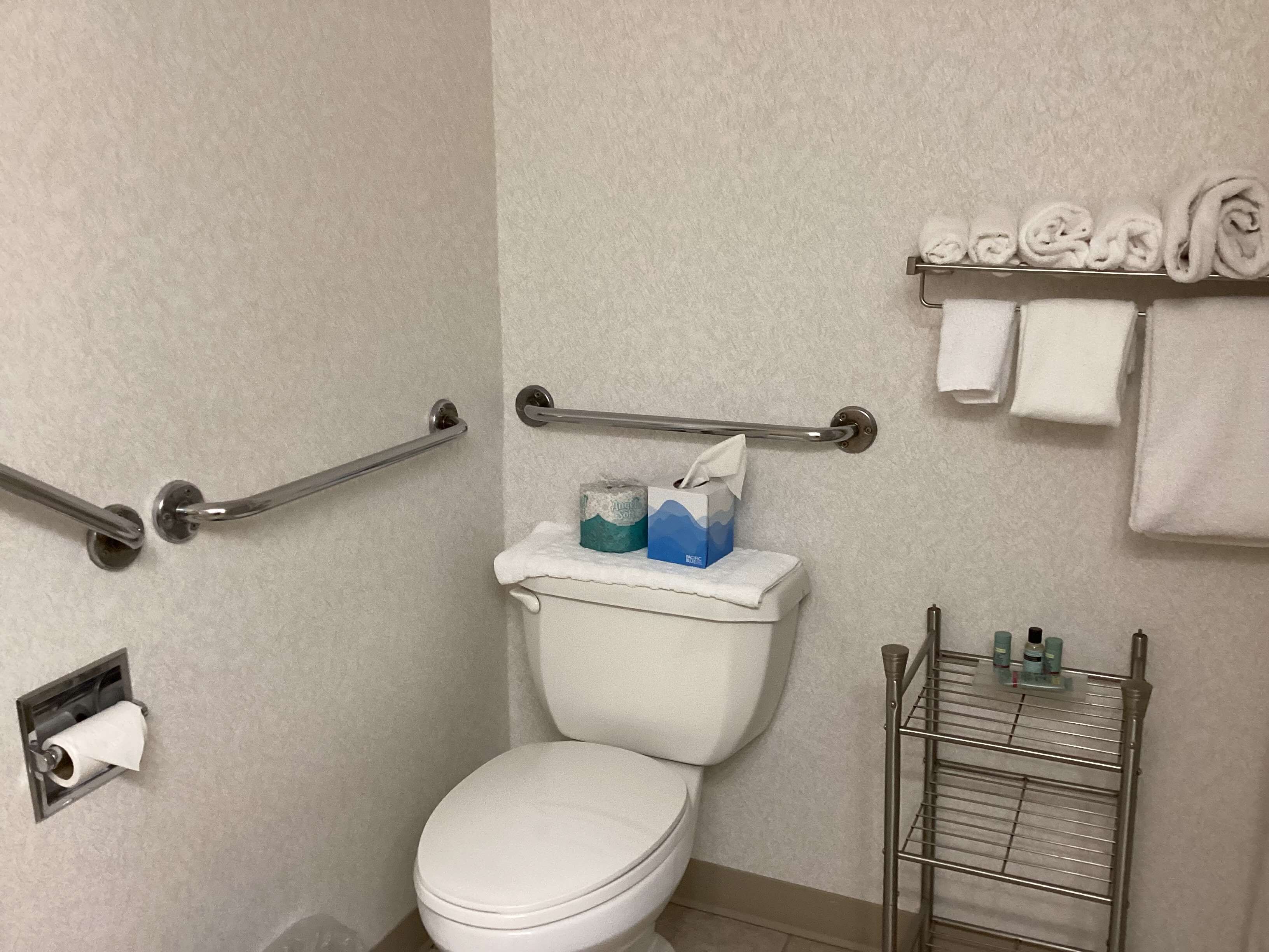 Een badkamer met een wit toilet, een handgreep, een handdoekrek met handdoeken en een plank met toiletartikelen.