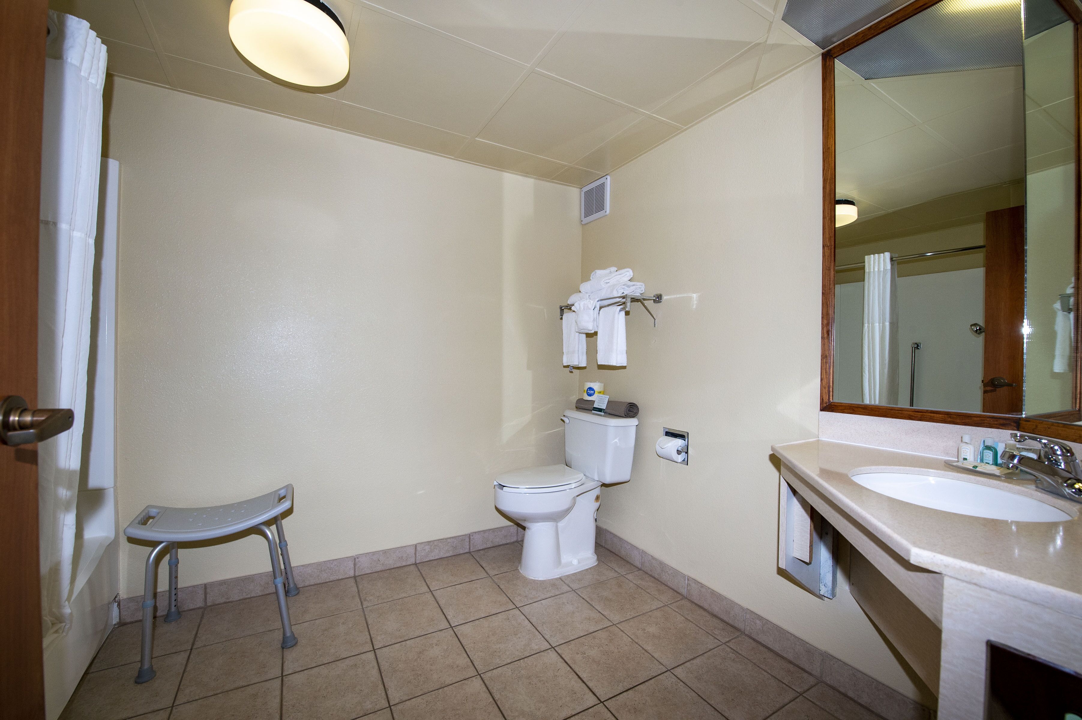 room, 1 queen bed, accessible, non smoking | bathroom | combined shower/bathtub, free toiletries, hair dryer, towels