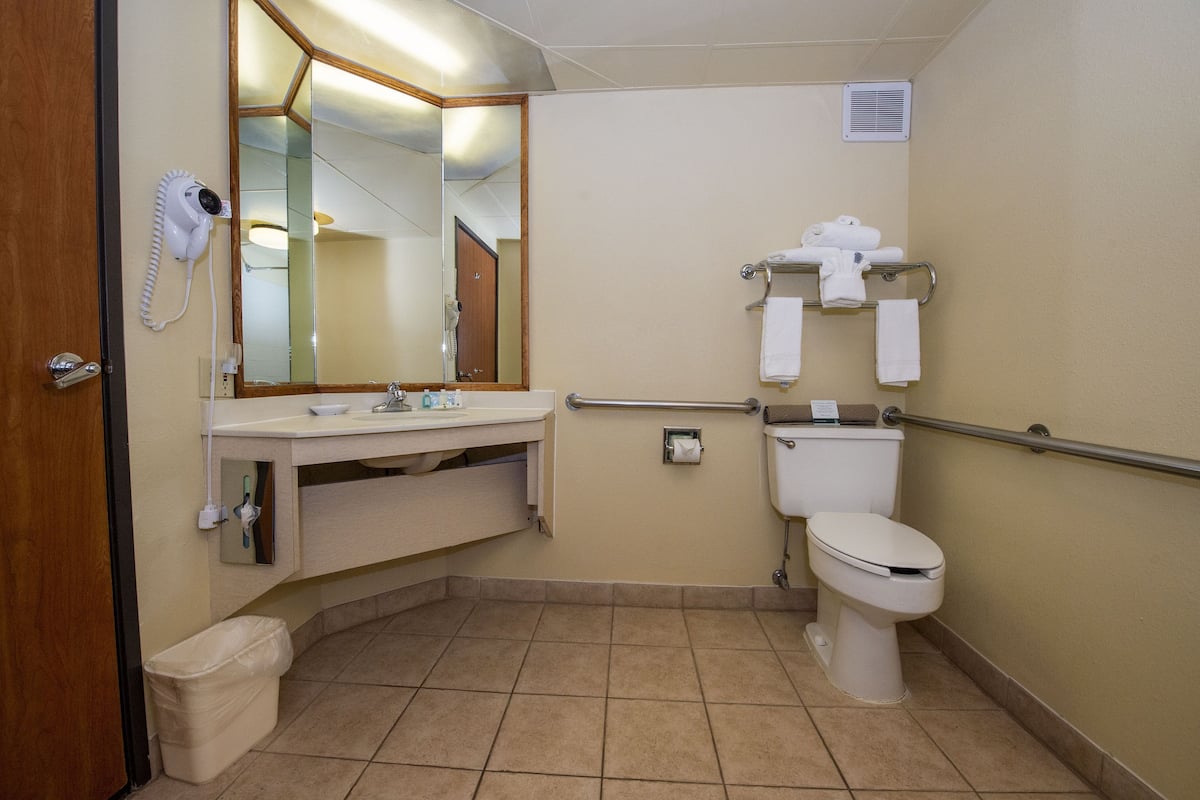 room, 1 queen bed, accessible, non smoking | bathroom | combined shower/bathtub, free toiletries, hair dryer, towels