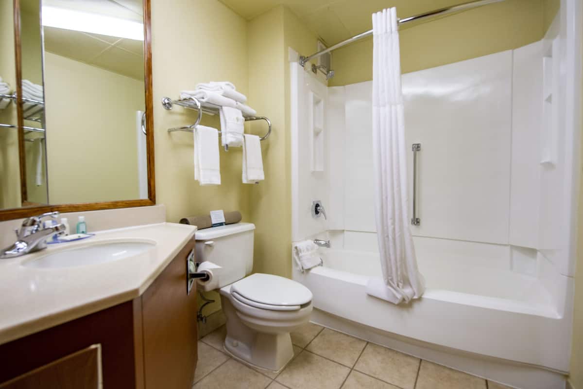 standard room, 1 king bed, non smoking | bathroom | combined shower/bathtub, free toiletries, hair dryer, towels