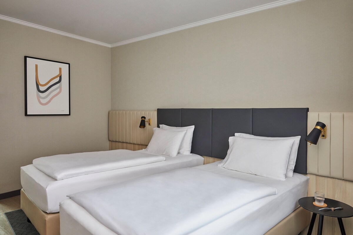 Habitación estándar, 2 camas individuales | Ropa de cama hipoalergénica, caja fuerte, escritorio
