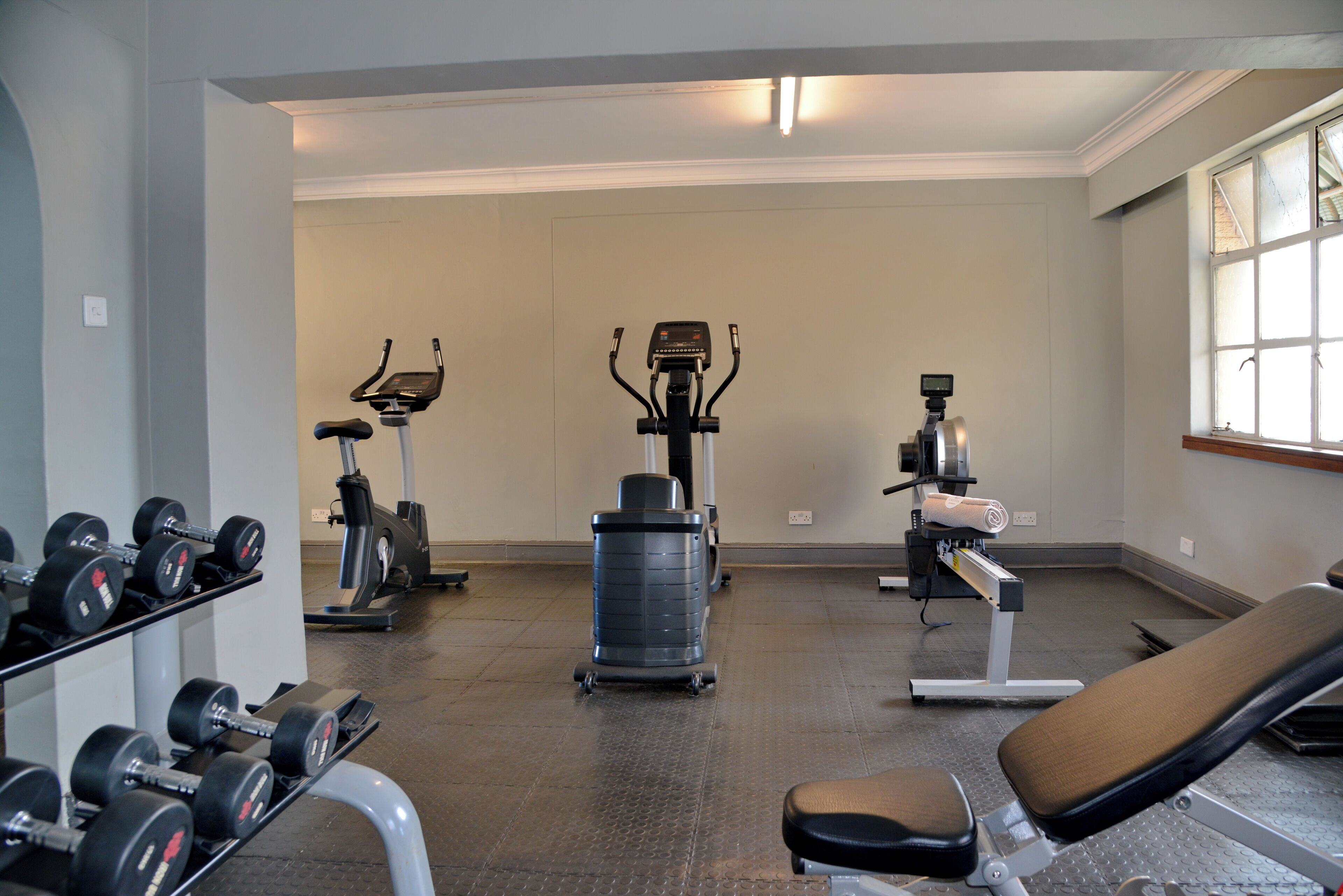 Uma academia com equipamentos de exercício, um banco e um suporte para halteres.