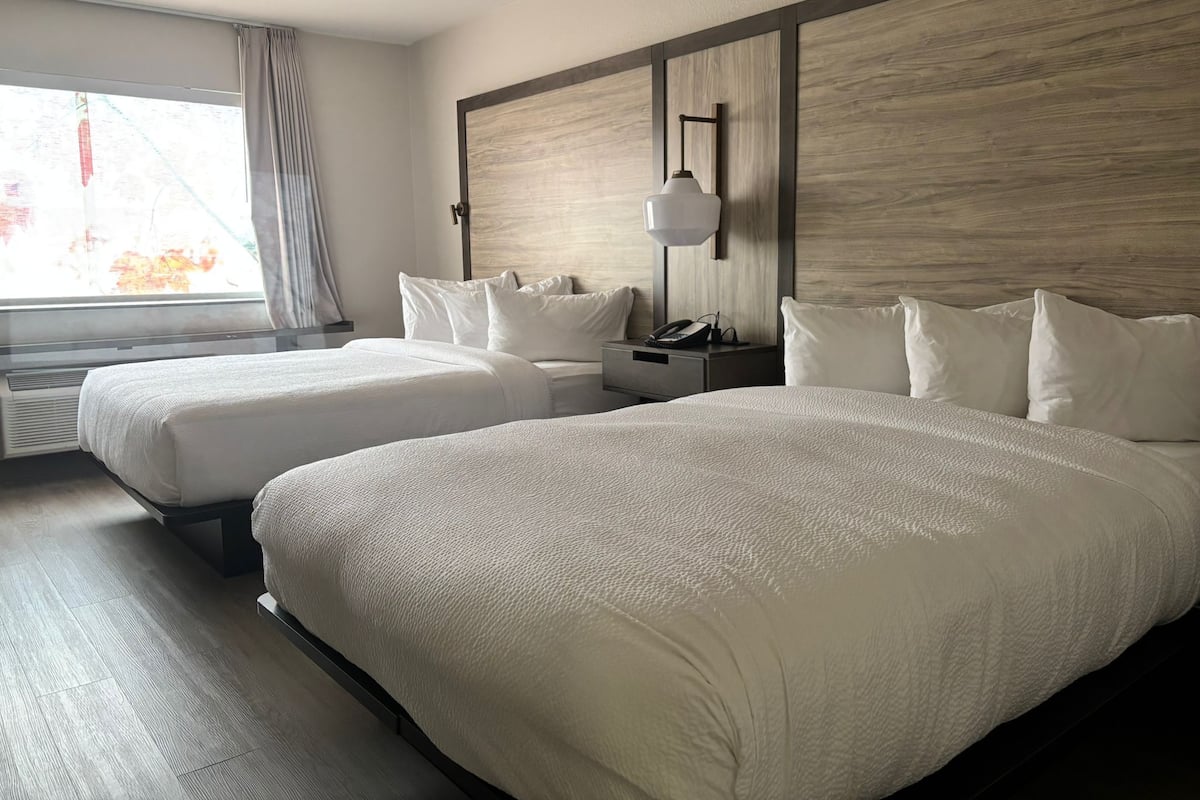 Zimmer, 2 Queen-Betten