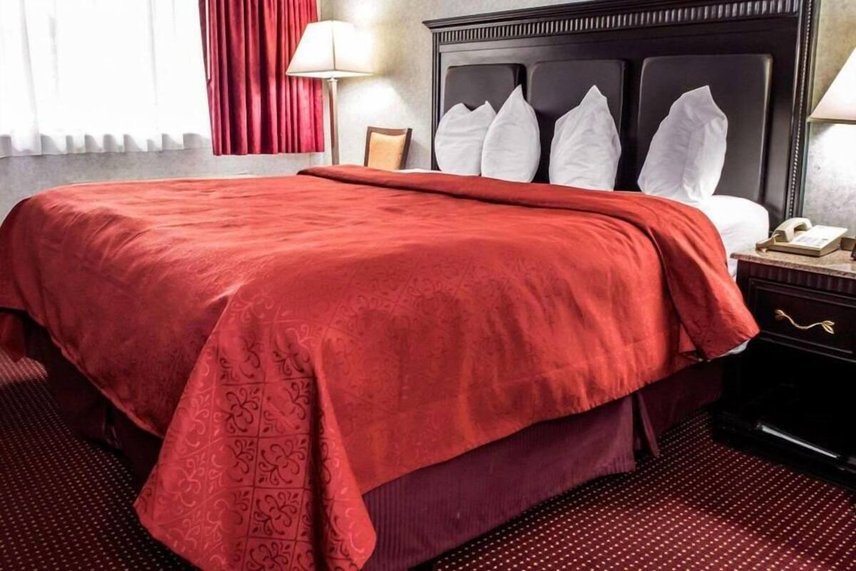 A hotel room with a large bed, a nightstand with a lamp, and a framed picture on the wall.
