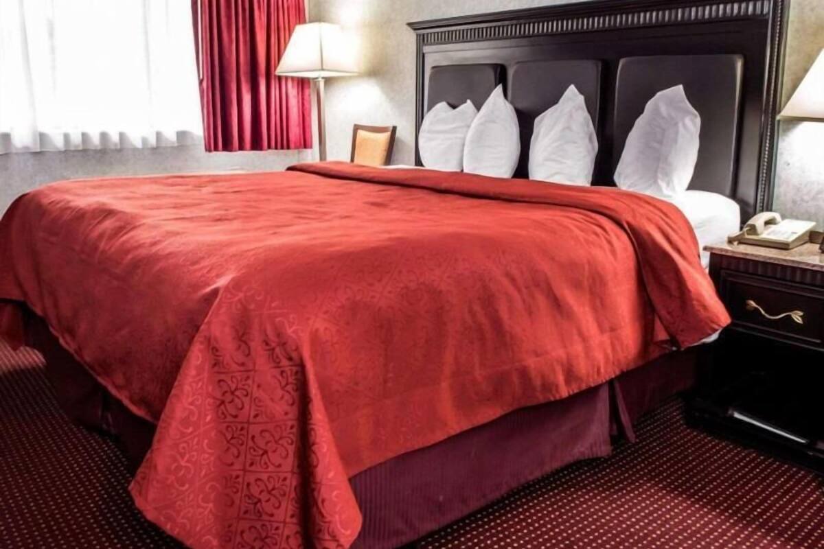 A hotel room with a large bed, a nightstand with a lamp, a framed picture on the wall, and a window with curtains.