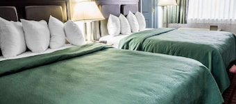 Quality Inn & Suites North