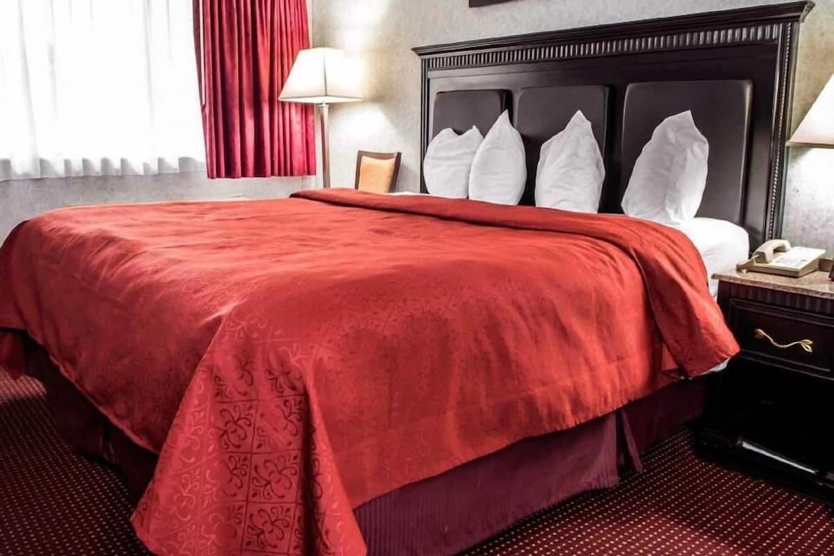 A hotel room with a large bed, a nightstand with a lamp, a framed picture on the wall, and a window with curtains.