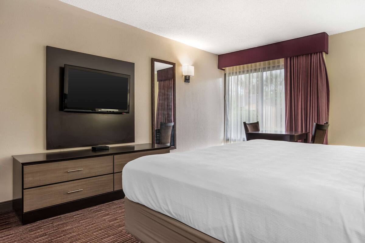 Iron/ironing board, cribs (free), rollaway beds (surcharge), WiFi (free)