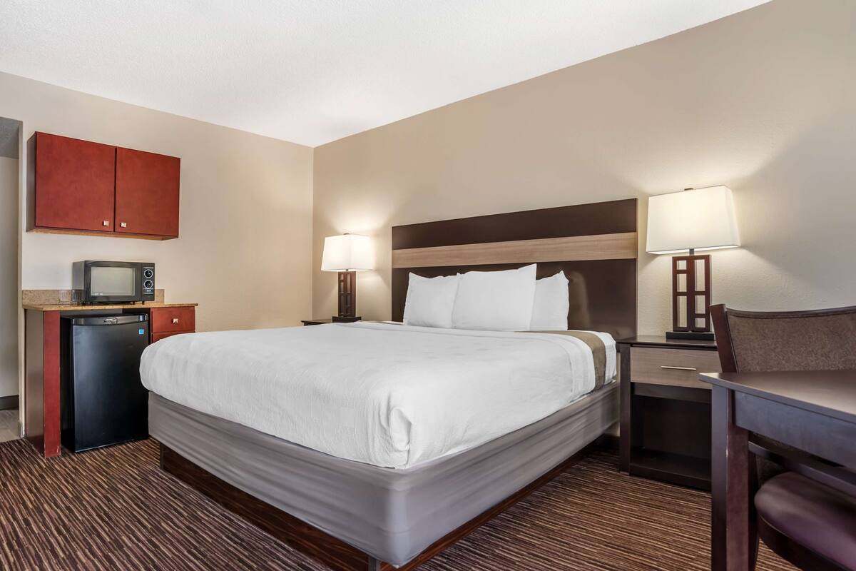 A hotel room with a large bed, a desk, a chair, a TV, a mini-fridge, and a cabinet.