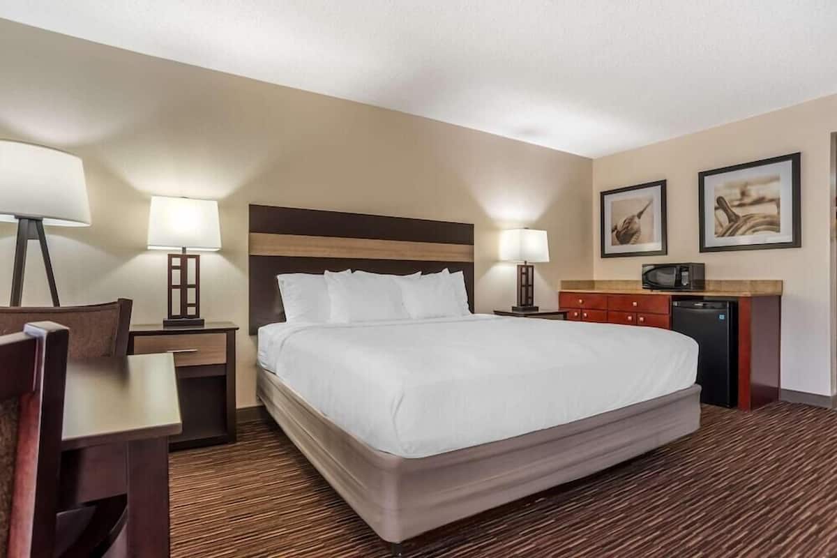 Iron/ironing board, free cribs/infant beds, rollaway beds, free WiFi