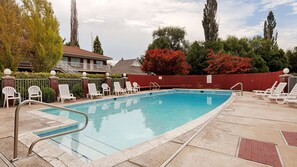 Seasonal outdoor pool, sun loungers