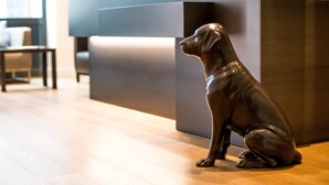 Un interno moderno con pavimento in legno, una reception e una zona salotto con sedie.