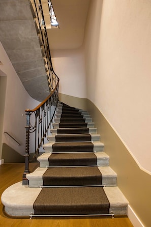 A staircase with a handrail, carpeted steps, and a wooden floor.