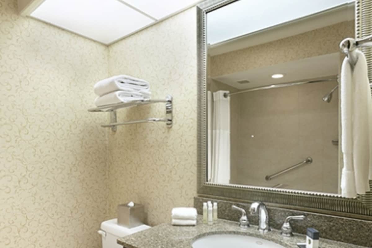 Un baño con lavamanos, inodoro y ducha. Hay toallas en un perchero y un espejo sobre el lavamanos.