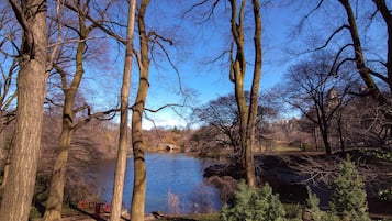 A park with a lake, trees, and a path.