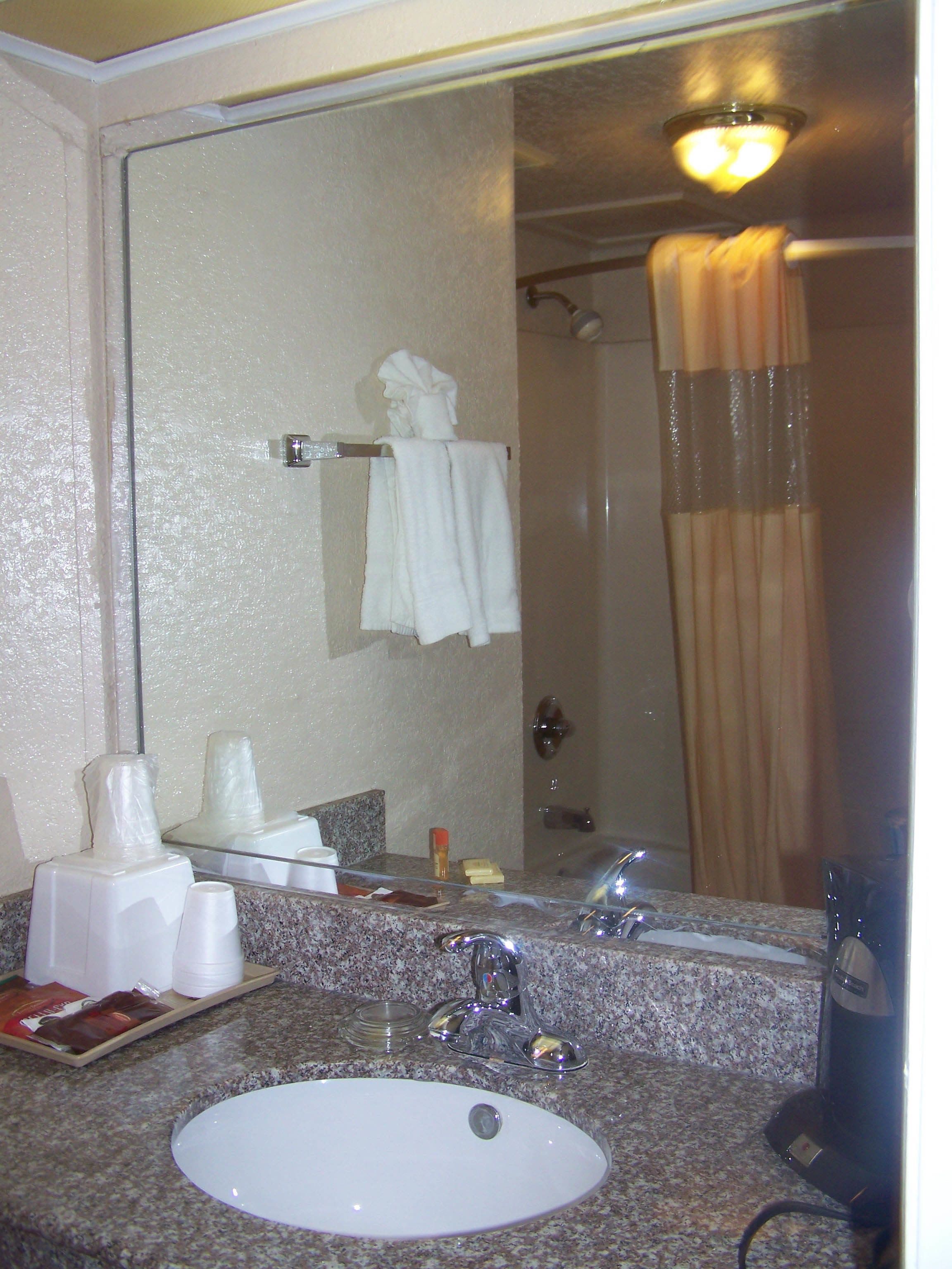A hotel bathroom with a sink, mirror, towel rack, and shower curtain.