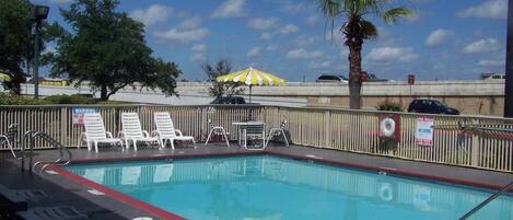 A swimming pool with lounge chairs and a palm tree.